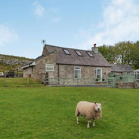 Cwm Hafan Haydnヴィラ エクステリア 写真